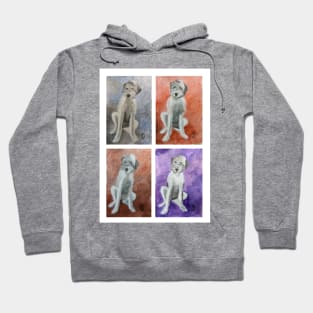 Sheepadoodle study Hoodie